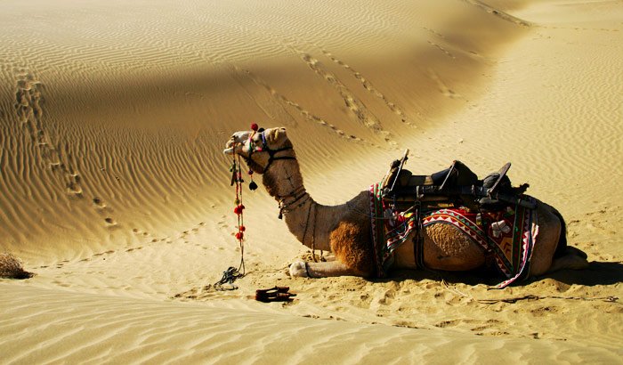 Sam Sand Dunes Jaisalmer