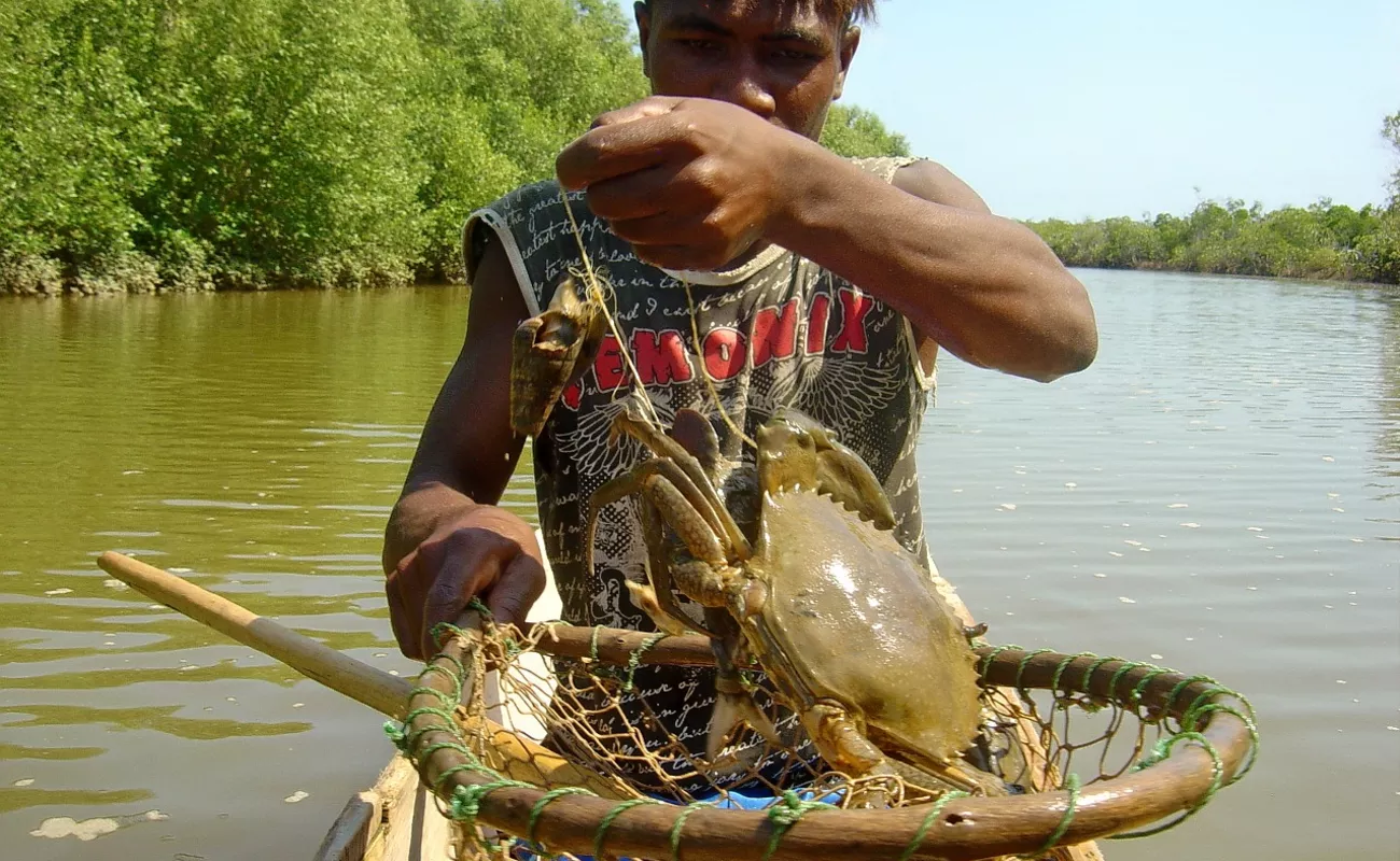 Crab Catching Tour, Goa