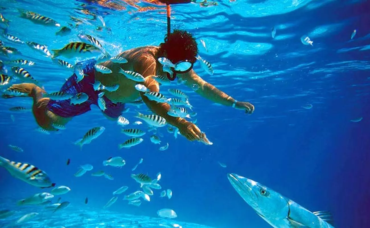 Snorkeling in Goa