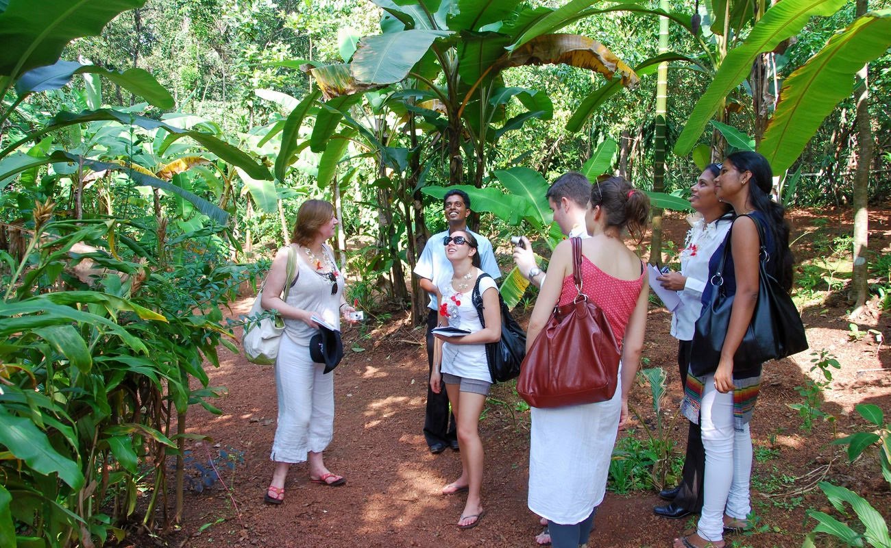 Spice Plantation Goa