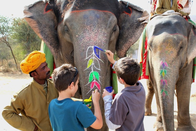 Elephant Activity Jaipur