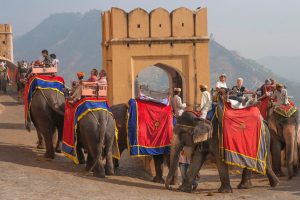 Elephant Safari, Amer Fort Jaipur