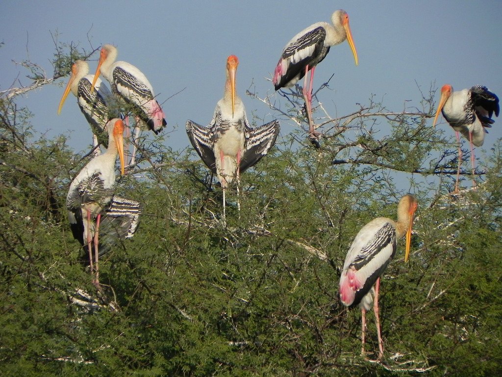 Bharatpur National Park